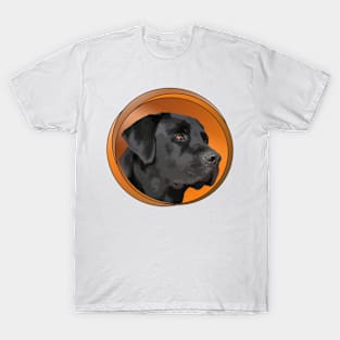 Black Labrador Retrievers! Especially for Lab owners! T-Shirt
